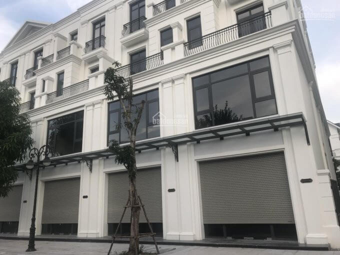 Vinhomes Ocean Park